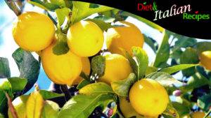 lemon properties and benefits