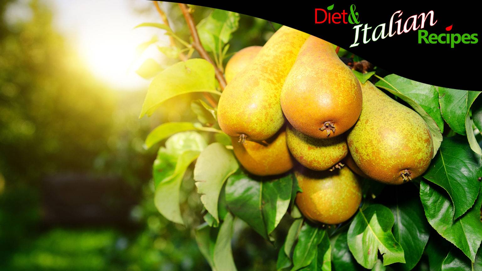 Benefits of Pear, Calories, Nutritional Values, and Types of Pears