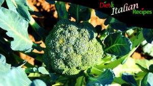 broccoli properties how to cook and clean it